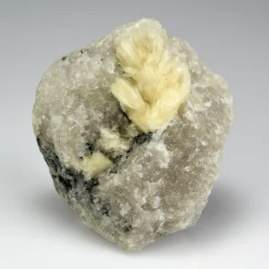 Bavenite